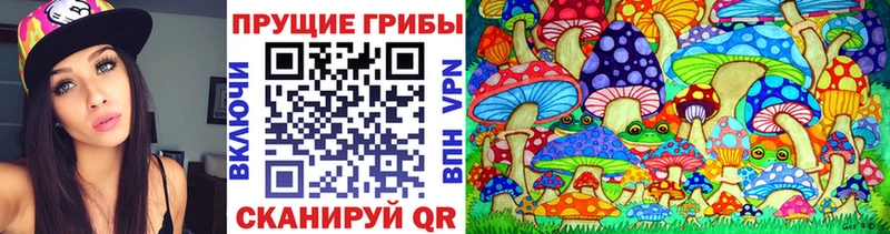 Галлюциногенные грибы прущие грибы Зеленогорск
