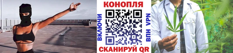 где продают наркотики  Зеленогорск  ОМГ ОМГ рабочий сайт  Бошки марихуана индика 